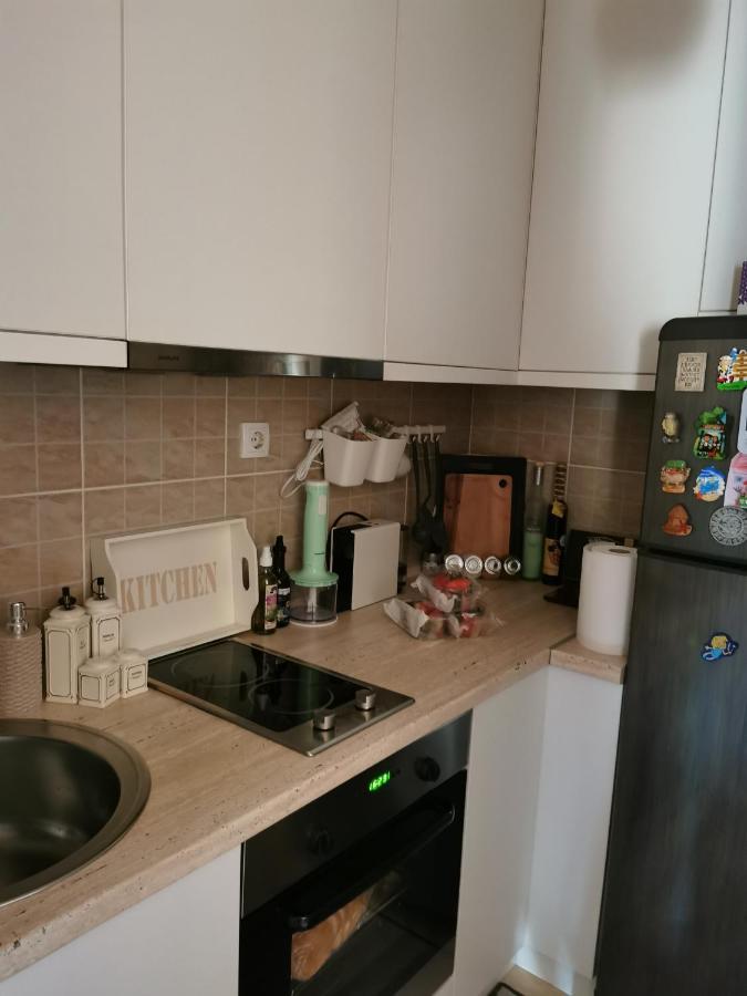 Lux Apartman Lena Belgrad Dış mekan fotoğraf